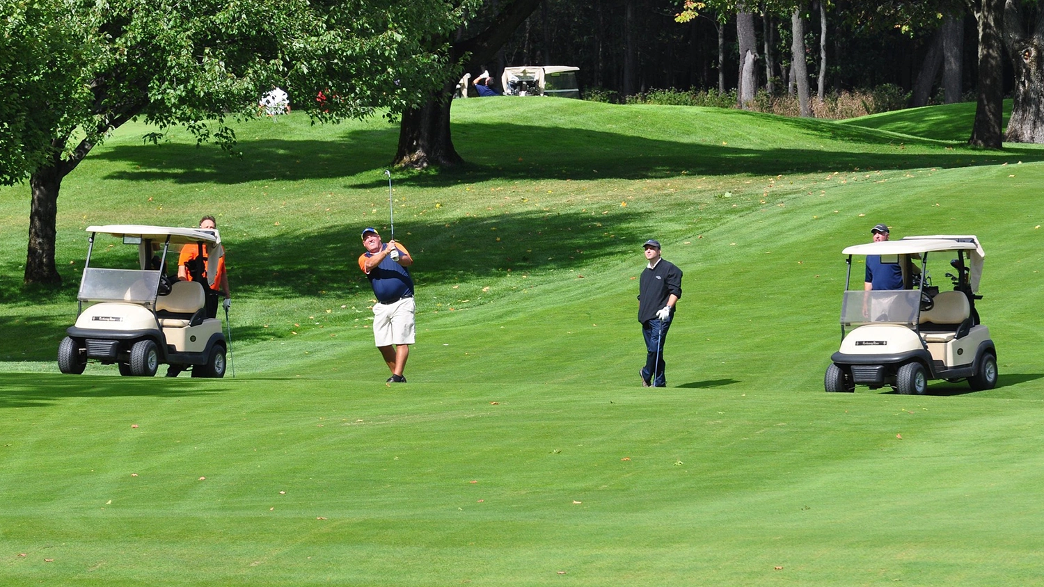 golfiści na polu golfowym