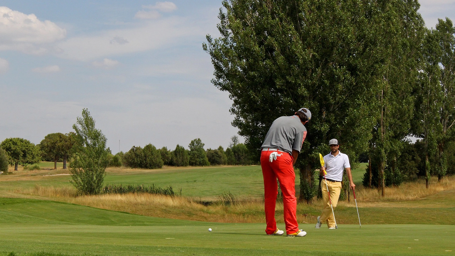 people playing golf